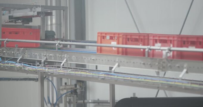 Red plastic crates moving along an elevated conveyor system inside a bright industrial hall with cable trays below
