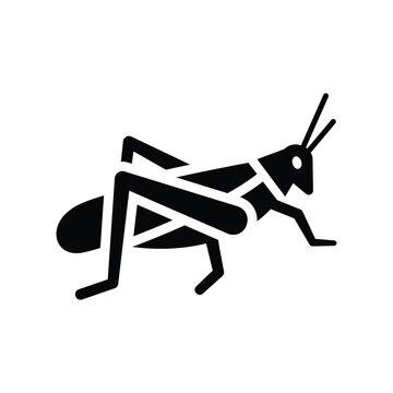 Grasshopper icon