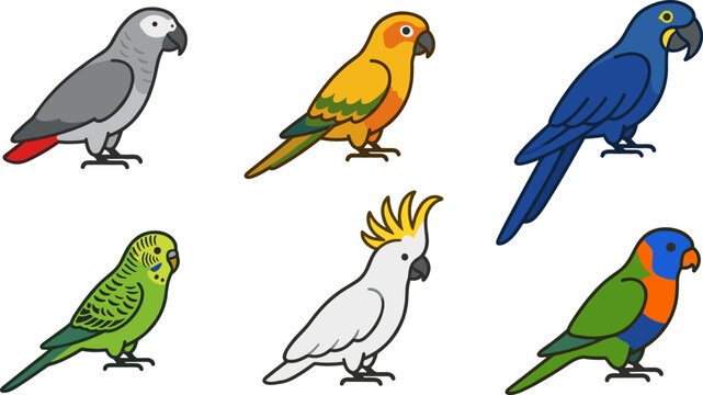 Tropical Parrot Bird Cartoon Vector Set Featuring African Grey, Macaw, Cockatoo, Budgie, Sun Conure, and Lorikeet for Exotic Wildlife and Pet Designs