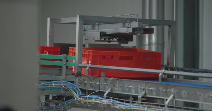 Red plastic crate moving along an automated conveyor system inside a bright food factory hall