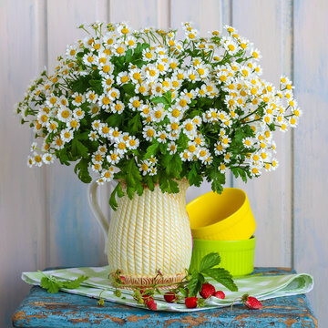 bouquet of daisies and garden strawberries in a jug. summer still life with flowers and berries.