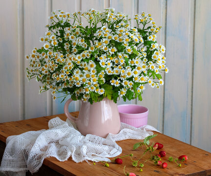 garden daisies in a pink jug on the table. flowers and berries, summer rural still life.