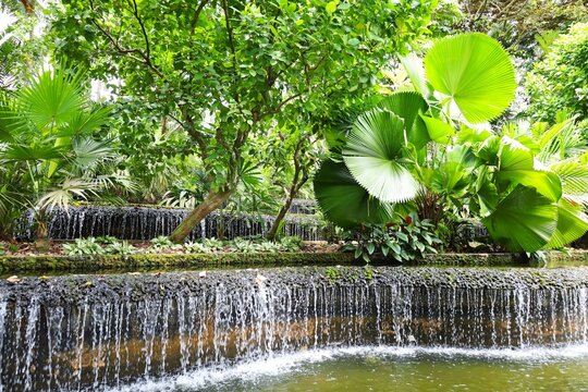 シンガポール植物園