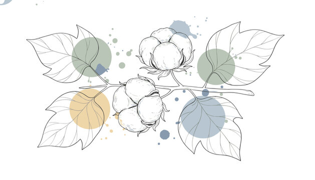 Artistic sketch of cotton plant branch with leaves and bolls decorated with colorful watercolor circle splashes.