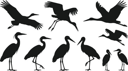 Obraz premium Stork and heron bird black silhouette set flying landing and standing wild wading animals vector illustration,