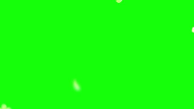Minimalist green screen frame overlay with white border blank template chroma