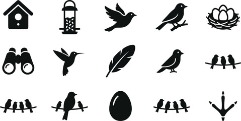 Obraz premium Birds icon set black silhouettes vector illustration, wild bird species flat icons isolated