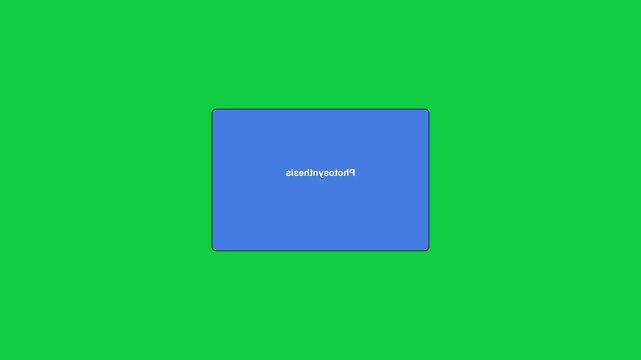 2D motion graphics animation of a digital educational flashcard flipping to reveal the answer photosynthesis.