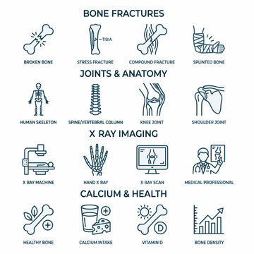A comprehensive set of line icons illustrating bone fractures, human anatomy, X-ray imaging procedures, and essential elements for bone health like calcium and vitamin D.