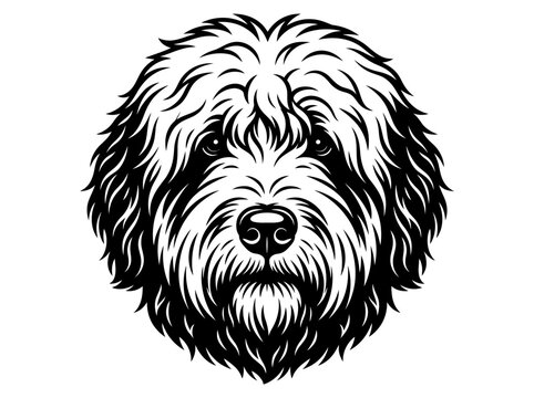 Black and White Goldendoodle Face Vector Line Art