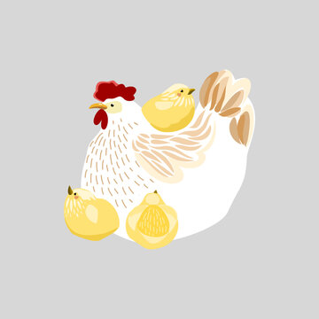 Cute white hen with her fluffy yellow chicks, isolated farm animal family character design