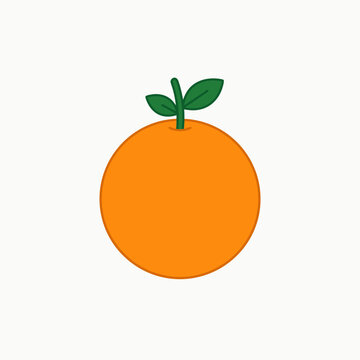 Vibrant Sweet Mandarin Graphic Clean Citrus Fruit Botanical Artwork