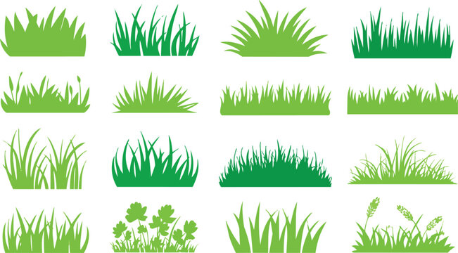 Green grass doodle. Lawn, turf or meadow, field blades for garden and park. Plant silhouette and grass border for spring, summer natural landscape. Ecology, botanical clipart. Vector isolated set