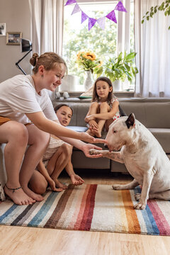 Kids with Bullterrier at Home