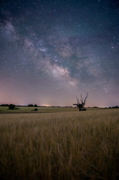 Milky Way galaxy stretching across the night sky above a solitar