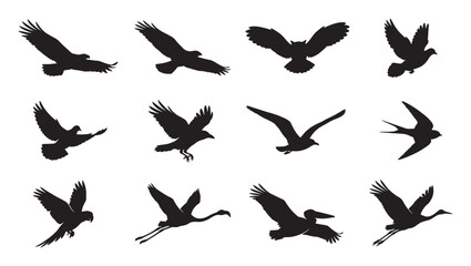 Obraz premium Elegant flying birds silhouette vector collection capturing diverse bird species soaring through the air.