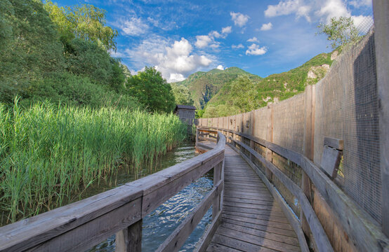 pedestrian wooden bridge along observation fence crossing a lake in green  leaves of reeds in nature reserve of Idro lake  in mountain, trento country Italy