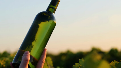 Hand Holding Green Wine Bottle Against Sunset Vineyard Sky