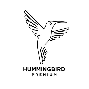 Minimalist Line Art Hummingbird in Flight Logo Vector Illustration