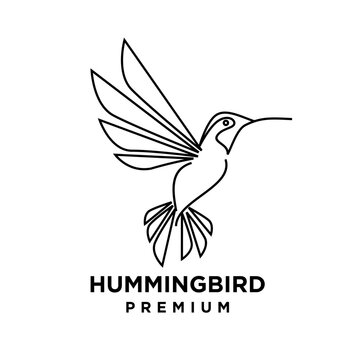 Minimalist Hummingbird Logo Design in Line Art Style - Elegant Flying Bird Vector Illustration for Premium Branding