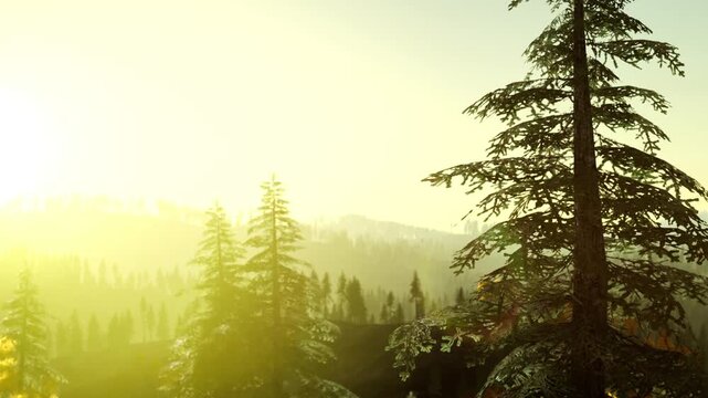 Sunrise paints the sky as light shines through tall trees in a forest. Distant mountains are visible in the background. Nature awakens with the new day.