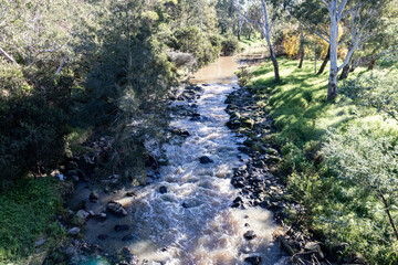 Peaceful creek surrounded by trees at Merri Creek, Melbourne, Australia © Christine