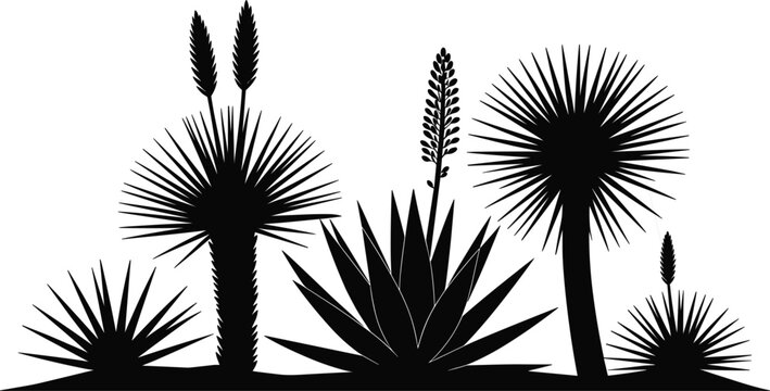Desert plants silhouette vector icon set including agave cactus yucca and succulent species