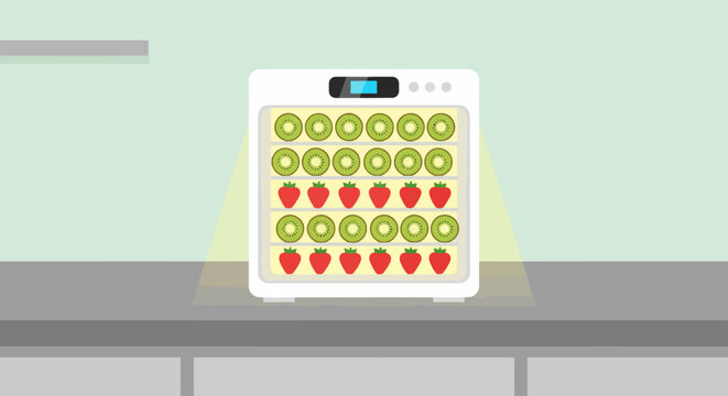 Modern food dehydrator machine drying fresh fruit slices in the kitchen