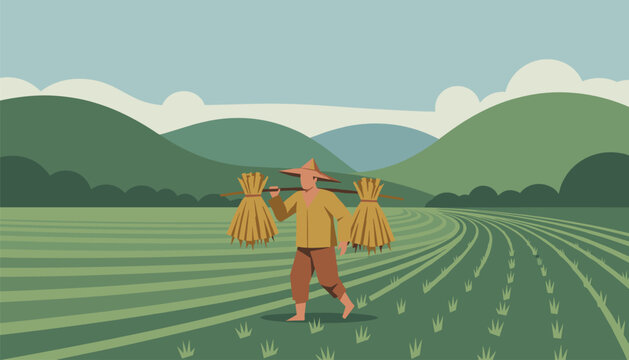 Asian farmer wearing a traditional conical hat carries a heavy harvest of rice on a shoulder pole across green terraced fields.