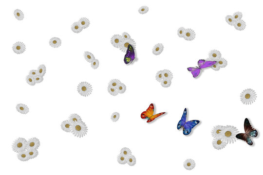 PNG. Illustrazione 3D. Primavera, estate. Margherite e farfalle su sfondo trasparente . Campo di erba con fiori colorati e farfalle, sullo sfondo trasparente.
