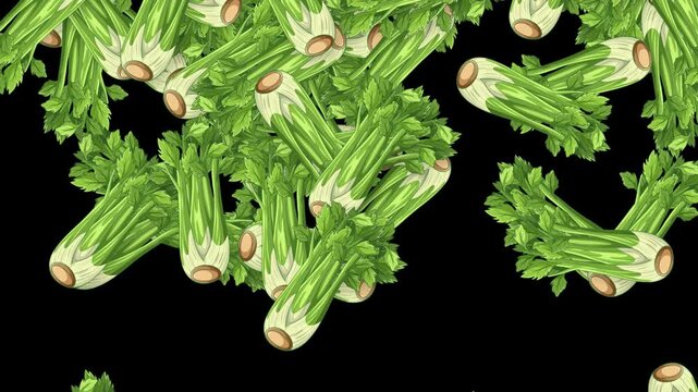 Fresh Green Celery Bunches Falling Against a Solid Black Background