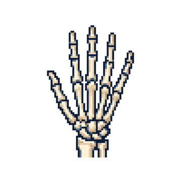 Anatomical human skeleton hand in pixel art