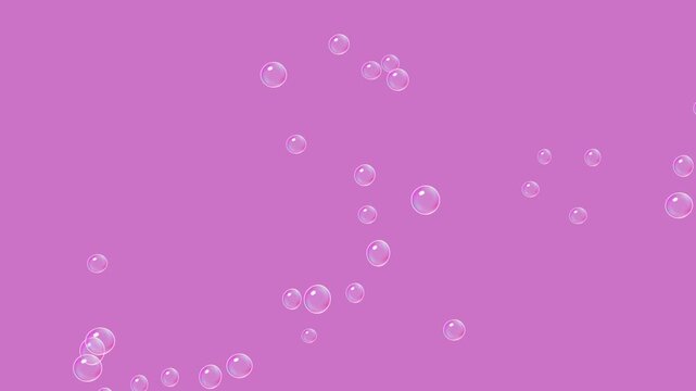 Floating Soap Bubbles Animation, Purple Background, Loop
