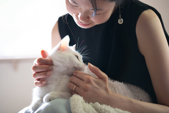 白猫を愛おしそうに撫でる女性