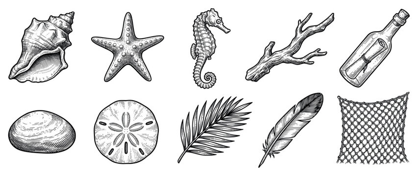 Ocean and beach icons set. Marine life and coastal elements concept. Includes seashell, starfish, seahorse, driftwood, message in a bottle, pebble, sand dollar, palm leaf, feather, fishing
