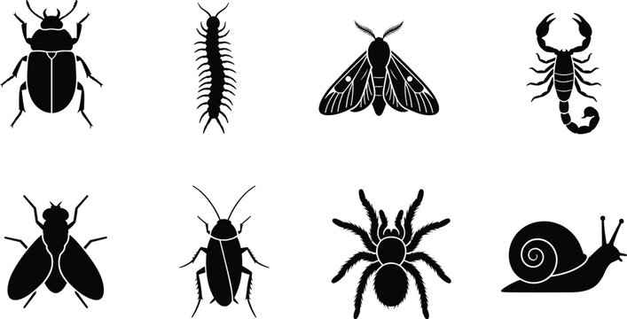 Collection of insect and creature silhouette icons including beetle, centipede, moth, scorpion, fly, cockroach, spider, and snail