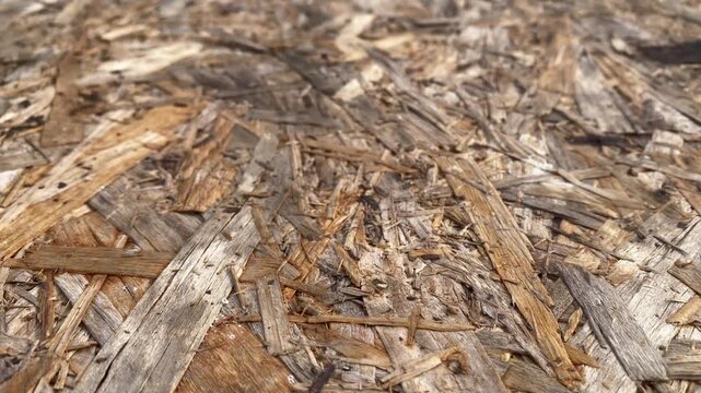 Close-up of rough oriented strand board texture with natural wood chips and splinters in daylight