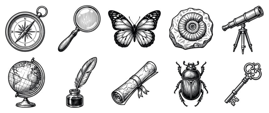 Discovery and adventure icons set. Exploration and knowledge concept. Includes compass, magnifying glass, butterfly, ammonite fossil, telescope, globe, quill pen, scroll, beetle, key