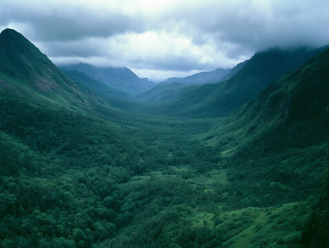 Majestic mountain range landscape featuring dark green forests within deep valley under moody overcast sky in remote area.