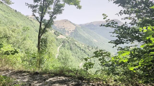 Catena montuosa con vallate verdi, pendii boscosi e cime rocciose in lontananza, atmosfera naturale e panoramica
