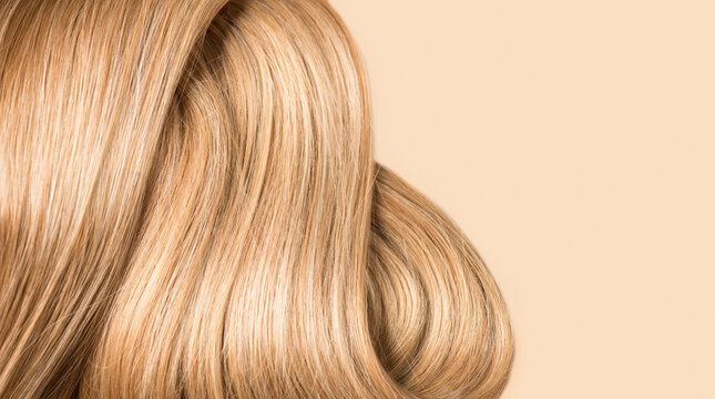 Hair curls beige background, lock of blond hair, healthy and beauty dyed hair border design, salon, treatment, cure, dying concept. Close up, top view.