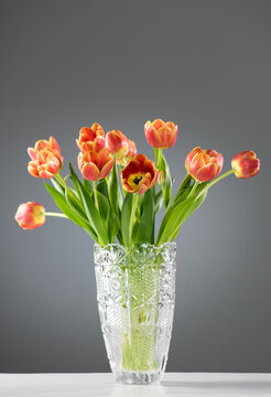 Spring tulips bunch in a crystal vase over grey background. Bright Tulips flower blooming. Easter, Mother's Day, birthday gift concept. Spring orange or red with yellow tulip flowers bouquet close up