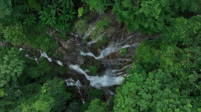 Aerial view of deep tropical rainforest with waterfall surrounded by lush tropical forest and towering cliffs streams of water into deep canyon, Lush green trees in forest with natural stream.
