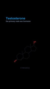 Testosterone Molecule Molecular Structure Labeled Animated Overlay Alpha 4K Vertical 9x16 Light
