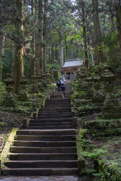 Mystical Forest Path with Stone Lanterns at Kamishikimi Kumanoza Shrine, Japan