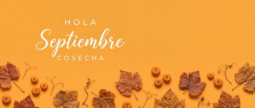 Hola Septiembre Spanish autumn harvest banner with pumpkins and dry leaves on orange background, minimalist flat lay layout for Thanksgiving, September background, Spanish text banner.
