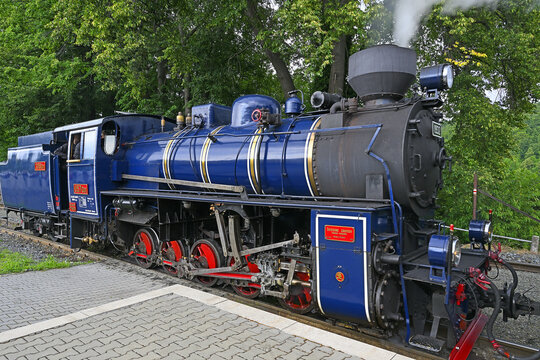 Tremesna ve Slesku, Czech Republic - Historic steam train on the narrow gauge Tremesna tu Osoblaha line, blue steam locomotive, Moravia-Silesia Region