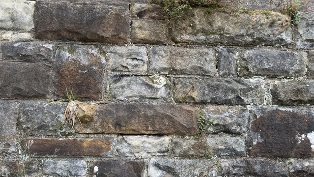 Weathered Sandstone Retaining Wall with Small Plants and Moss