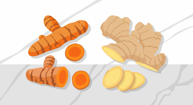 Fresh turmeric and ginger root vector with slices on marble table