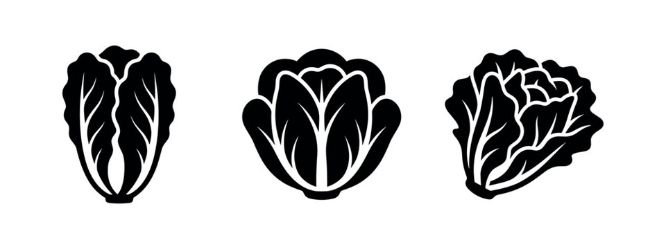 Fresh Green Lettuce and Cabbage Heads Silhouettes Set